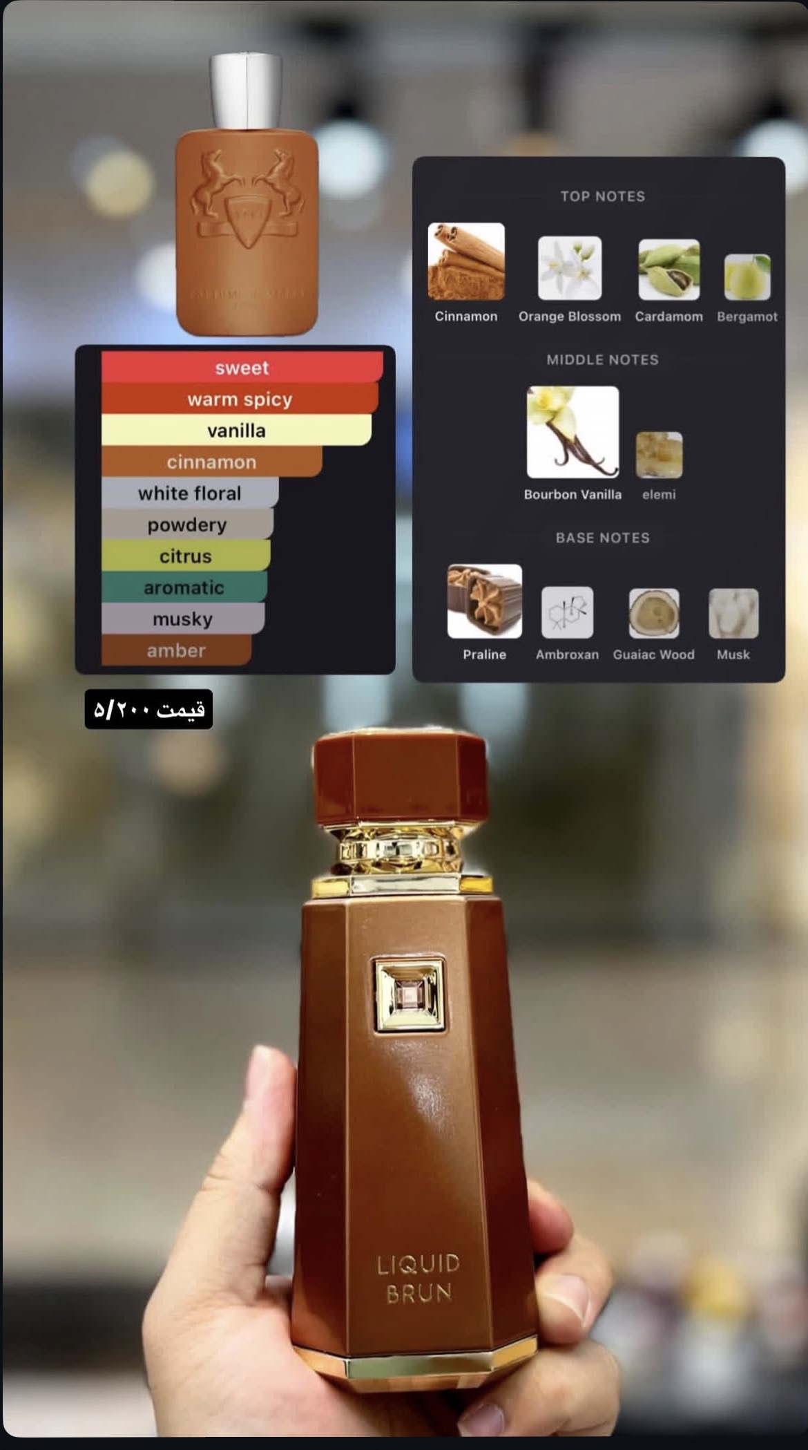 LIQUID BRUN FRENCH AVENUE -لیکویید برون فرنچ اونیو